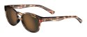 Okulary TIFOSI SVAGO POLARIZED tortoise (1 szkło Brown 16% transmisja światła) (DWZ)